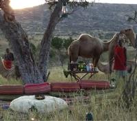 Camel safari bush dinner